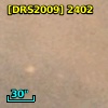 [DRS2009] 2402