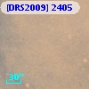 [DRS2009] 2405