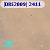 [DRS2009] 2411