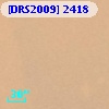 [DRS2009] 2418