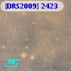 [DRS2009] 2423