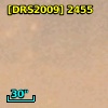 [DRS2009] 2455