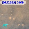 [DRS2009] 2460