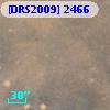 [DRS2009] 2466
