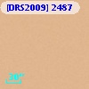 [DRS2009] 2487