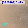 [DRS2009] 2489