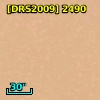 [DRS2009] 2490