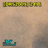 [DRS2009] 2491