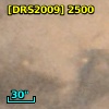 [DRS2009] 2500