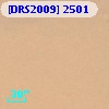 [DRS2009] 2501