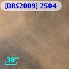 [DRS2009] 2504