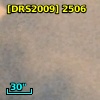 [DRS2009] 2506