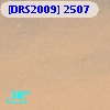 [DRS2009] 2507