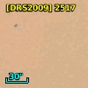 [DRS2009] 2517