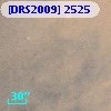 [DRS2009] 2525