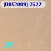 [DRS2009] 2527