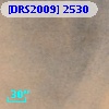 [DRS2009] 2530