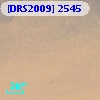 [DRS2009] 2545