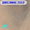 [DRS2009] 2557