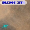 [DRS2009] 2564