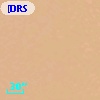 [DRS2009] 2565