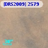 [DRS2009] 2579