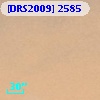[DRS2009] 2585