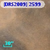 [DRS2009] 2599