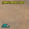 [DRS2009] 2607