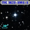 TYC 3623-1981-1