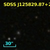 SDSS J125829.87+275404.0
