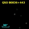 QSO B0836+443