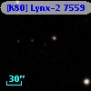 [K80] Lynx-2  7559