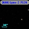 [K80] Lynx-2  7528