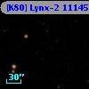 [K80] Lynx-2 11145