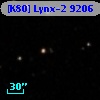 [K80] Lynx-2  9206