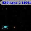 [K80] Lynx-2 11641
