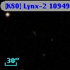 [K80] Lynx-2 10949