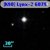 [K80] Lynx-2  6078