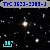 TYC 3623-2308-1
