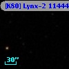 [K80] Lynx-2 11444