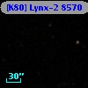 [K80] Lynx-2  8570