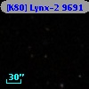 [K80] Lynx-2  9691