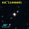 2MASS J19075629+4923281