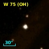 W 75 (OH)