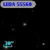 LEDA   55560