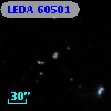 LEDA   60501