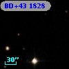 BD+43  1828