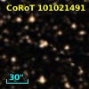 CoRoT 101021491