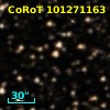 CoRoT 101271163